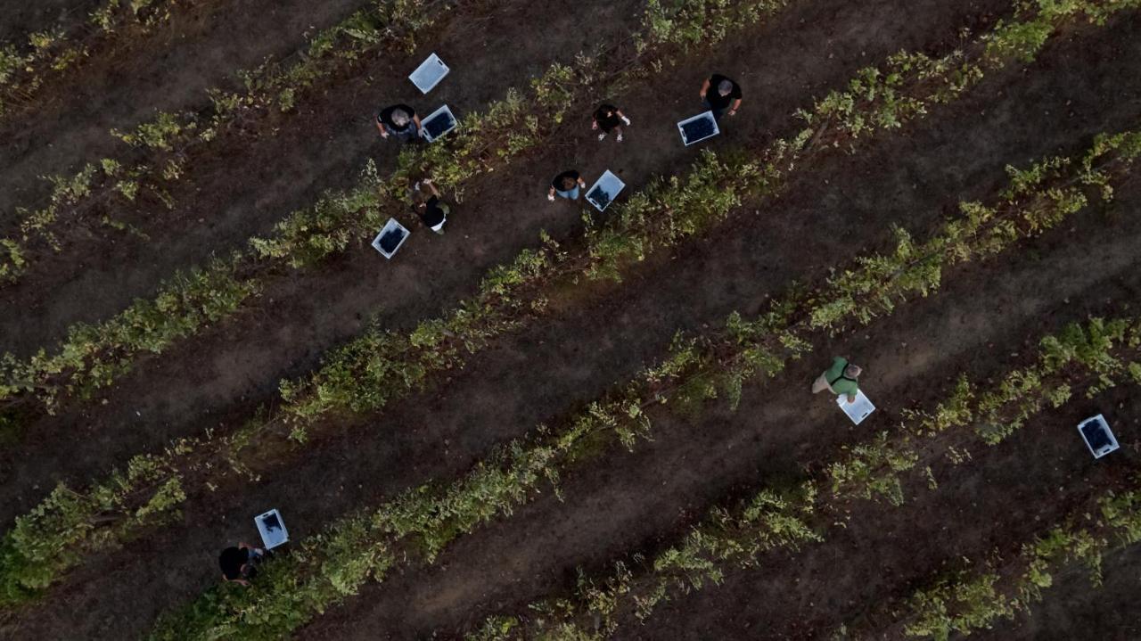 L'And Vineyards - Relais & Chateaux มอนเตมอโรโนโว ภายนอก รูปภาพ